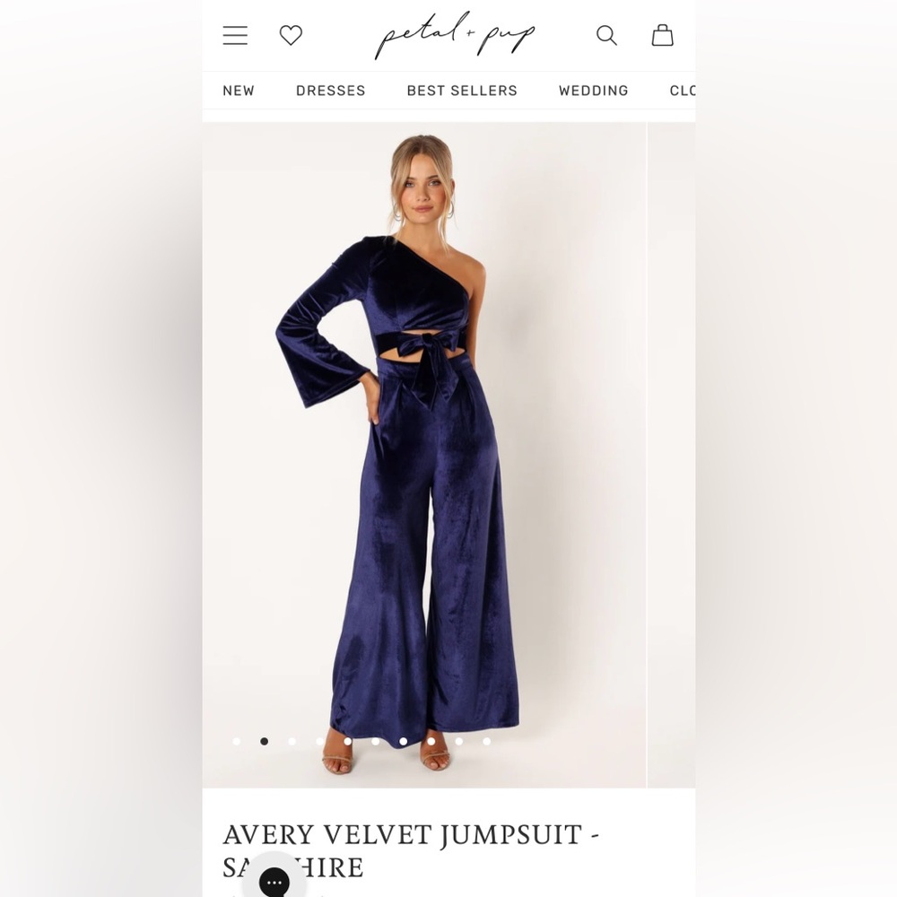 PETAL + PUP
Avery velvet jumpsuit- Size L